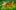 Jack-and-the-Beanstalk-booking