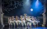 Swan Lake swan ensemble Matthew Ball 'The Swan' and ensemble, dancing at night