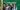 Overtones 2000 The Overtones on green striped present background with gold ribbon border