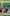 Overtones 600x960 The Overtones on green striped present background with gold ribbon border The ultimate Christmas party The UK's No.1 multi-platinum selling 'awesome foursome' return