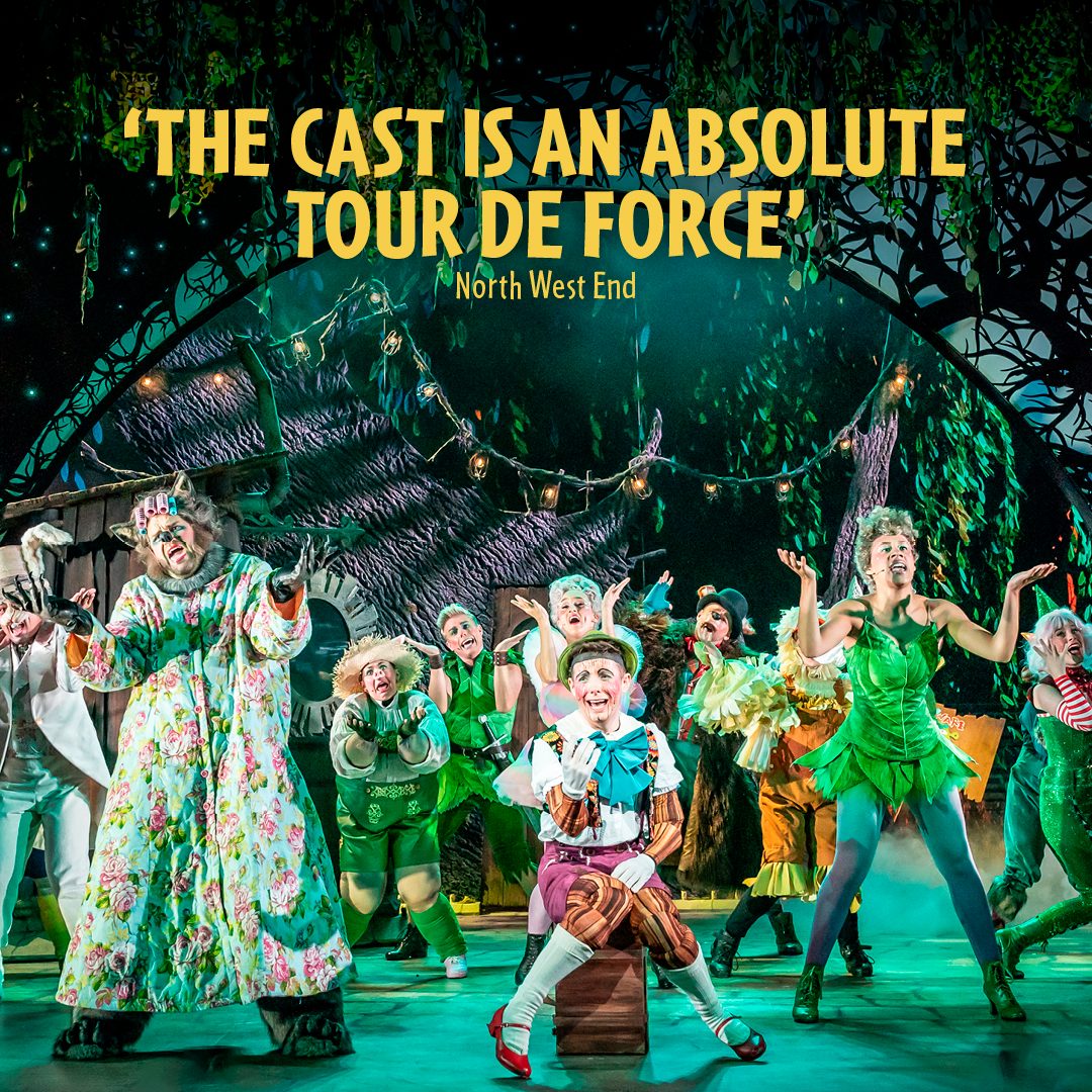 Shrek The Musical Shrek The Musical